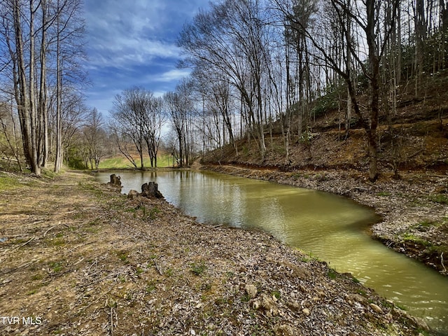 538 Punkton Rd, Del Rio, TN 37727 - water view