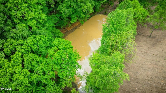 538 Punkton Rd, Del Rio, TN 37727 - aerial view