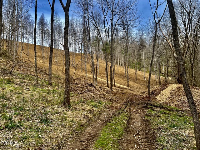 538 Punkton Rd, Del Rio, TN 37727 - view of nature