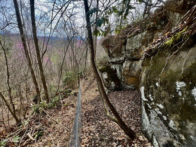 538 Punkton Rd, Del Rio, TN 37727 - view of local wilderness