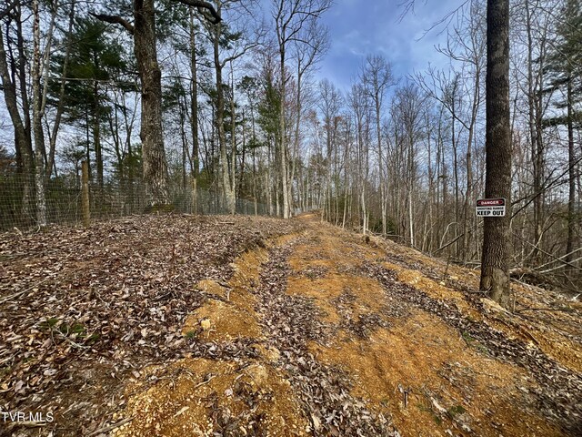 538 Punkton Rd, Del Rio, TN 37727 - view of woods