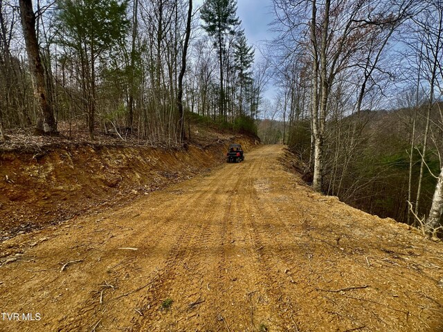 538 Punkton Rd, Del Rio, TN 37727 - view of dirt / gravel road