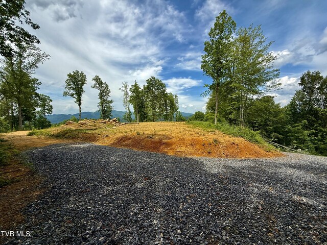 538 Punkton Rd, Del Rio, TN 37727 - view of street featuring a mountain view