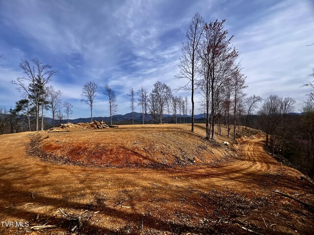 538 Punkton Rd, Del Rio, TN 37727 - view of street with a mountain view