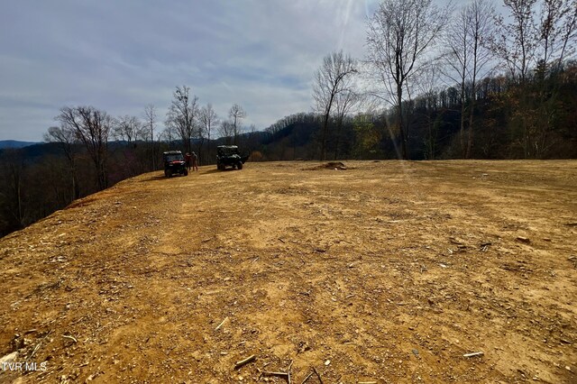 538 Punkton Rd, Del Rio, TN 37727 - view of yard with a rural view