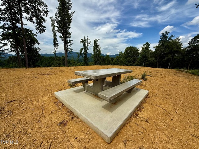 538 Punkton Rd, Del Rio, TN 37727 - view of property's community featuring a mountain view