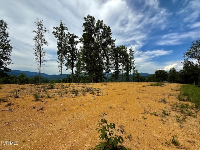 538 Punkton Rd, Del Rio, TN 37727 - view of undeveloped land featuring a mountain backdrop and rural landscape