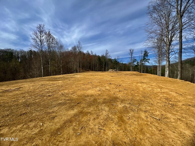 538 Punkton Rd, Del Rio, TN 37727 - view of tree filled area