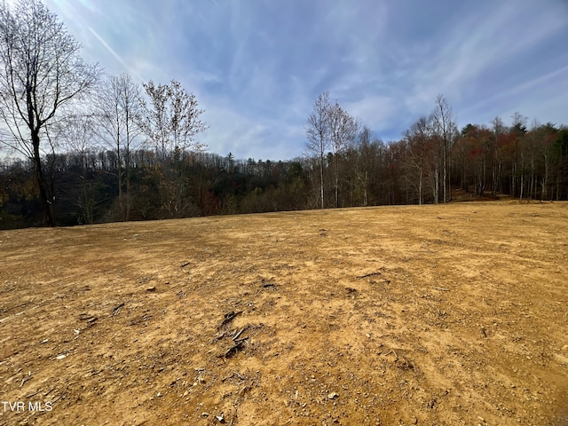538 Punkton Rd, Del Rio, TN 37727 - view of tree filled area