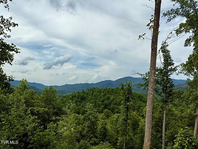538 Punkton Rd, Del Rio, TN 37727 - view of mountain backdrop featuring a forest