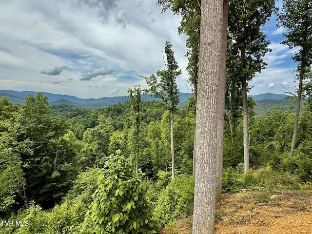538 Punkton Rd, Del Rio, TN 37727 - view of mountain background featuring a heavily wooded area
