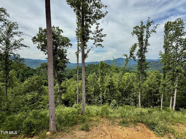 538 Punkton Rd, Del Rio, TN 37727 - view of mountain background featuring a forest