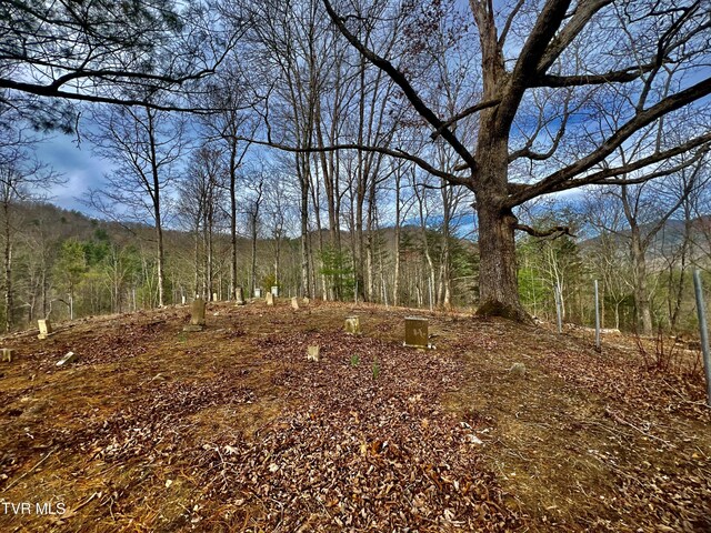 538 Punkton Rd, Del Rio, TN 37727 - view of wooded area