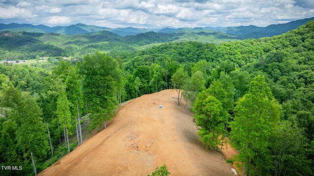 538 Punkton Rd, Del Rio, TN 37727 - view of mountain background with a forest