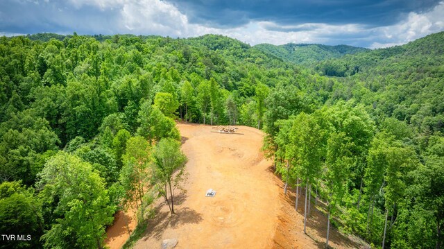 538 Punkton Rd, Del Rio, TN 37727 - aerial view of a heavily wooded area and a mountain backdrop