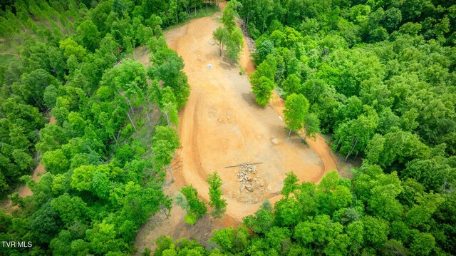 538 Punkton Rd, Del Rio, TN 37727 - drone / aerial view
