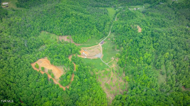 538 Punkton Rd, Del Rio, TN 37727 - view of property location with a heavily wooded area