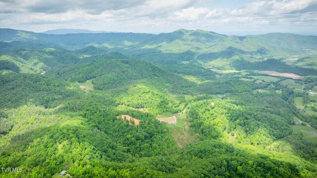 538 Punkton Rd, Del Rio, TN 37727 - view of mountain backdrop featuring a heavily wooded area
