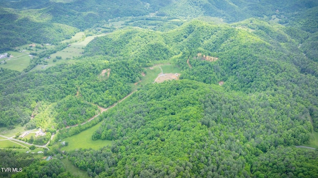 538 Punkton Rd, Del Rio, TN 37727 - bird's eye view of a forest