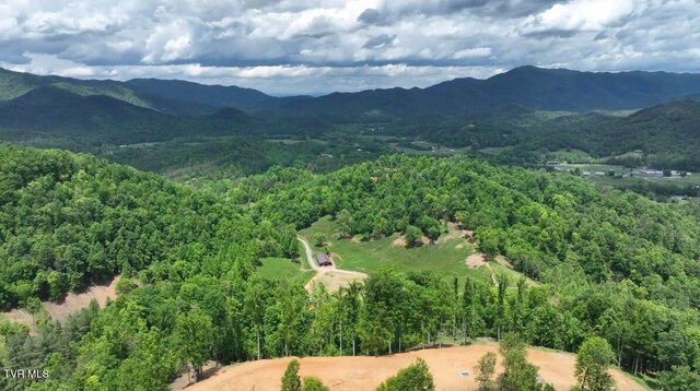 538 Punkton Rd, Del Rio, TN 37727 - drone / aerial view of a mountainous background and a forest