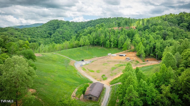 538 Punkton Rd, Del Rio, TN 37727 - bird's eye view of a forest