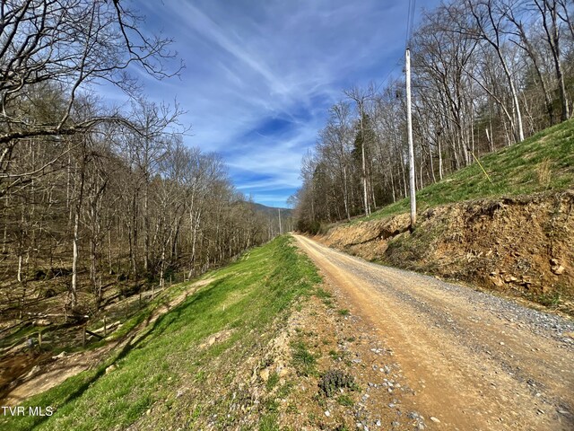 538 Punkton Rd, Del Rio, TN 37727 - view of dirt / gravel road