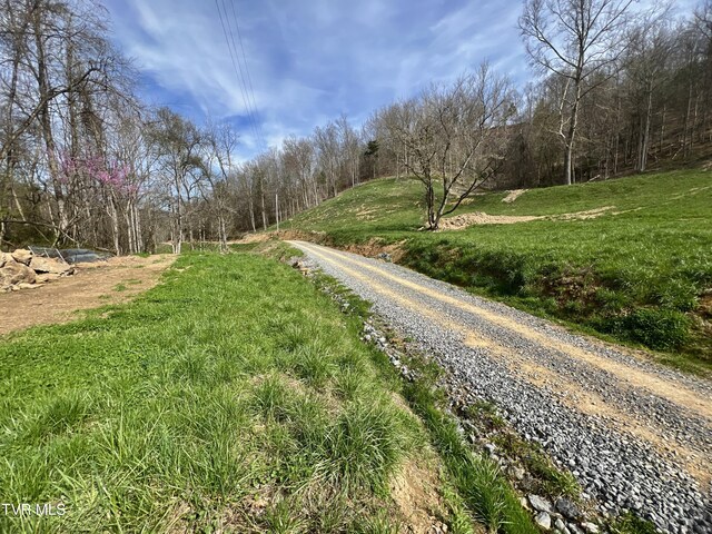 538 Punkton Rd, Del Rio, TN 37727 - view of street featuring a view of trees
