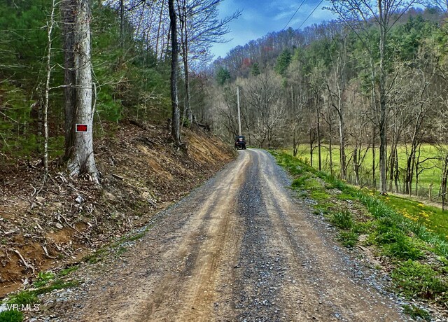 538 Punkton Rd, Del Rio, TN 37727 - view of dirt / gravel road featuring a forest view