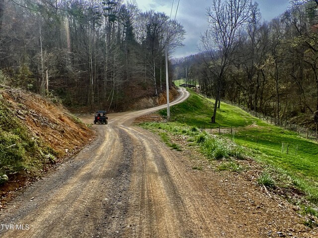 538 Punkton Rd, Del Rio, TN 37727 - view of dirt / gravel road featuring a wooded view