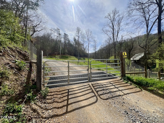538 Punkton Rd, Del Rio, TN 37727 - view of gate