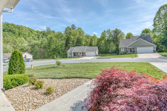 171 Brighton Pl, Bristol, TN 37620 - view of green lawn featuring a garage, driveway, and a view of trees