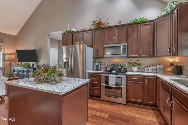 171 Brighton Pl, Bristol, TN 37620 - kitchen with appliances with stainless steel finishes, high vaulted ceiling, light wood finished floors, light stone counters, and open floor plan