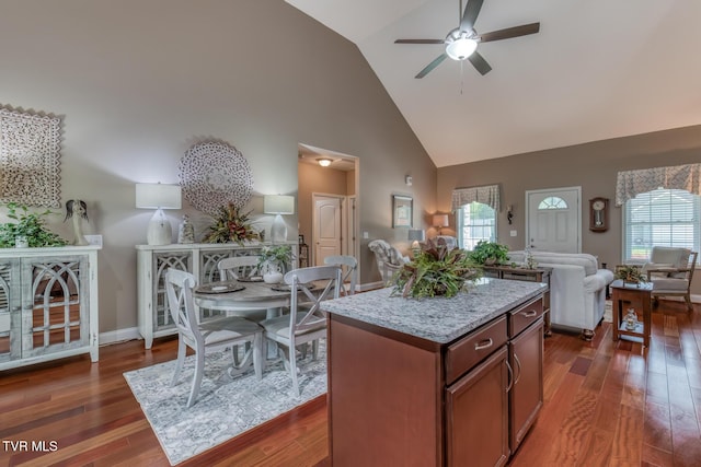 171 Brighton Pl, Bristol, TN 37620 - kitchen featuring high vaulted ceiling, open floor plan, a ceiling fan, dark wood-type flooring, and healthy amount of natural light
