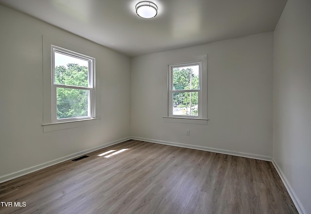 2221 Elizabethton Hwy, Johnson City, TN 37601 - empty room featuring plenty of natural light, wood finished floors, and baseboards