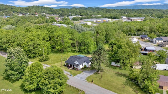 120 Stine St, Bristol, TN 37620 - aerial view of residential area with a heavily wooded area and a mountain backdrop