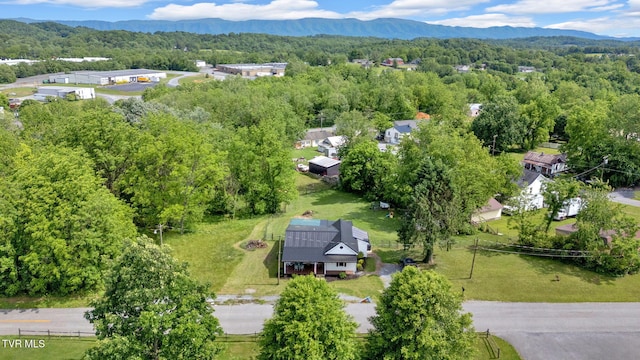 120 Stine St, Bristol, TN 37620 - drone / aerial view of a forest and a mountainous background