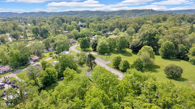 120 Stine St, Bristol, TN 37620 - drone / aerial view of a forest and a mountainous background
