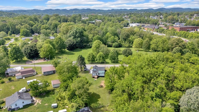 120 Stine St, Bristol, TN 37620 - drone / aerial view of mountains
