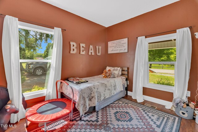 120 Stine St, Bristol, TN 37620 - bedroom featuring multiple windows, baseboards, and wood finished floors