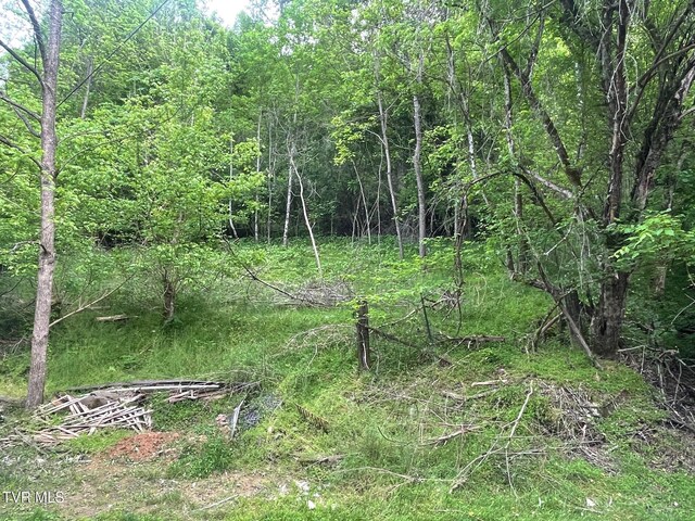 763 Sloantown Rd, Duffield, VA 24244 - view of woods