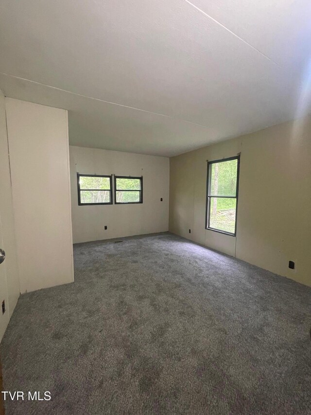763 Sloantown Rd, Duffield, VA 24244 - spare room with carpet flooring and plenty of natural light