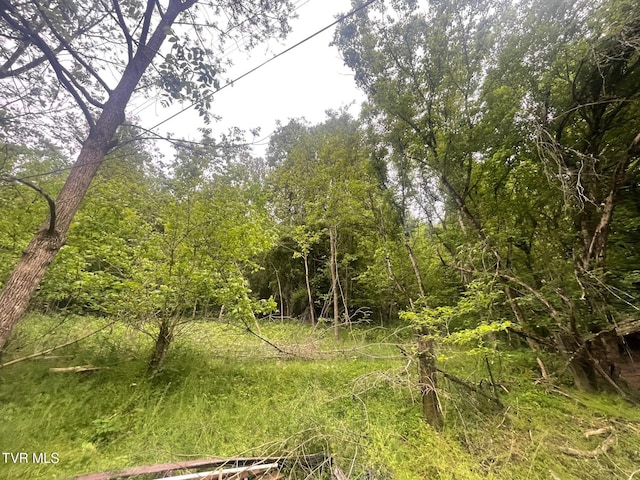 763 Sloantown Rd, Duffield, VA 24244 - view of tree filled area