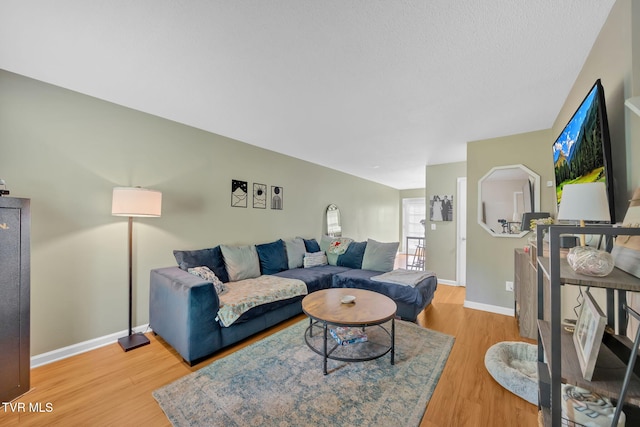 38 Lake Village Ct Unit 38, Johnson City, TN 37601 - living room featuring light wood-style floors and baseboards