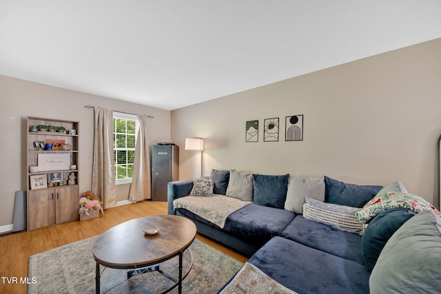 38 Lake Village Ct Unit 38, Johnson City, TN 37601 - living area featuring light wood finished floors and baseboards