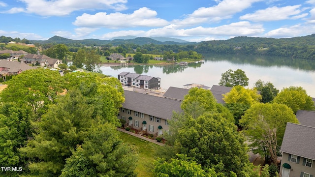 38 Lake Village Ct Unit 38, Johnson City, TN 37601 - drone / aerial view of a water and mountain view