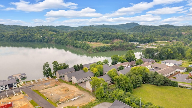 38 Lake Village Ct Unit 38, Johnson City, TN 37601 - aerial view of residential area with a forest and a water and mountain view