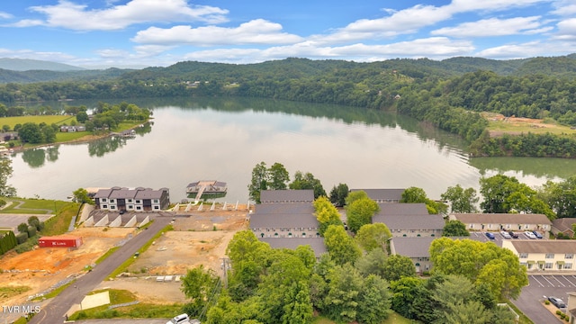 38 Lake Village Ct Unit 38, Johnson City, TN 37601 - bird's eye view of a large body of water and a heavily wooded area