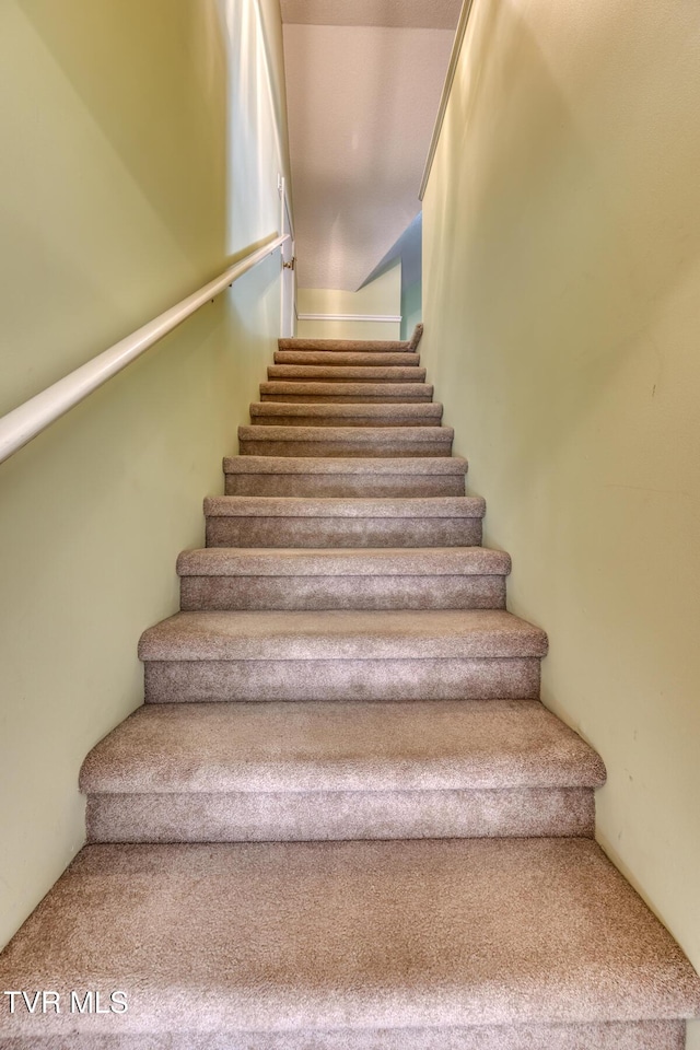 620 Glen Oaks Pl, Johnson City, TN 37615 - staircase featuring carpet floors