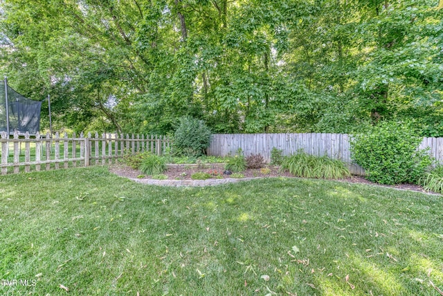 620 Glen Oaks Pl, Johnson City, TN 37615 - view of yard