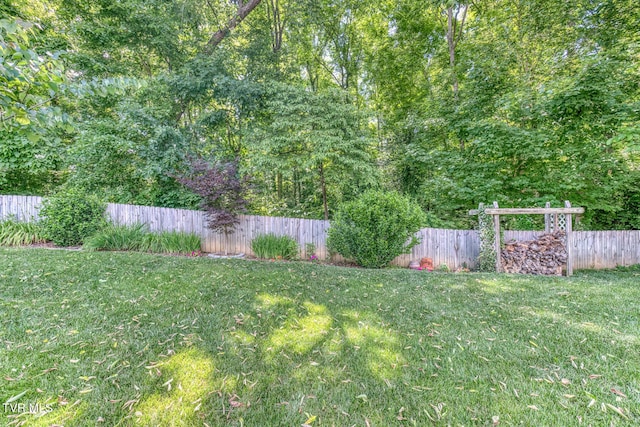 620 Glen Oaks Pl, Johnson City, TN 37615 - view of yard